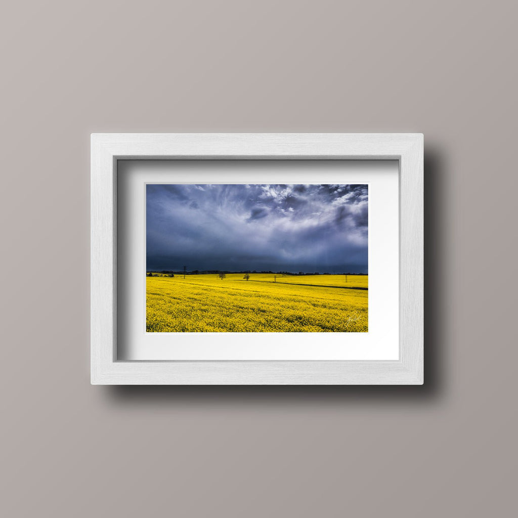 Fields of Gold